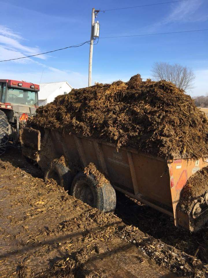 Goat and Cow Manure (Well-Decomposed)